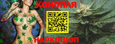 СК Аргун