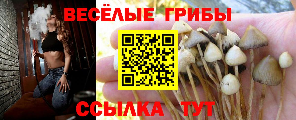Псилоцибиновые грибы Magic Shrooms Березники